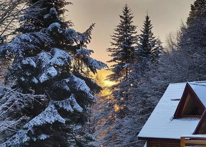 Voronins Retreat House Chalet