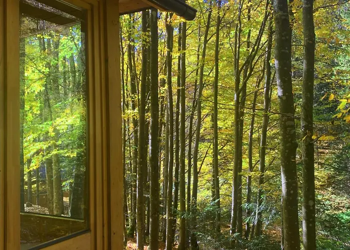 Chalet Voronins Retreat House Lumshory