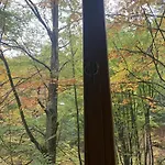 Voronins Retreat House * Lumshory
