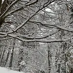 Chalet Voronins Retreat House *