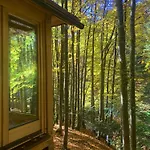 Chalet Voronins Retreat House Lumshory